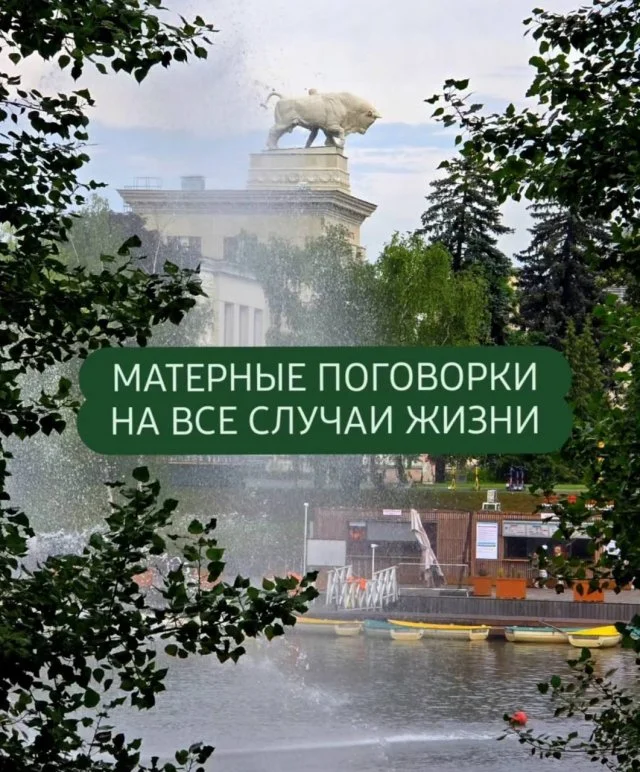 Сочные поговорки с перцем для любых ситуаций