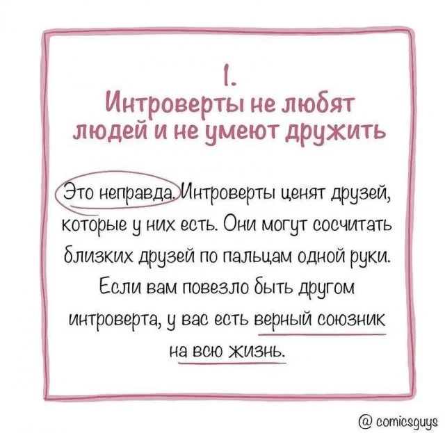 Самые популярные мифы об интровертах