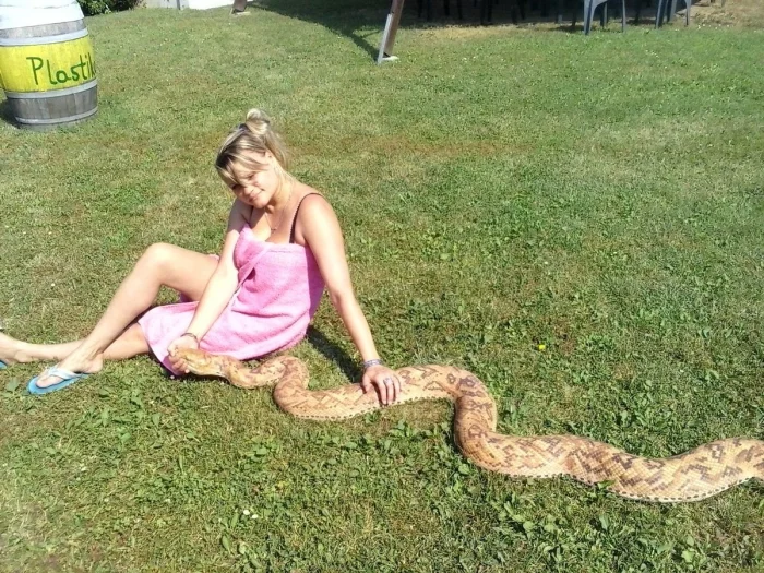 Свежее на общую тему