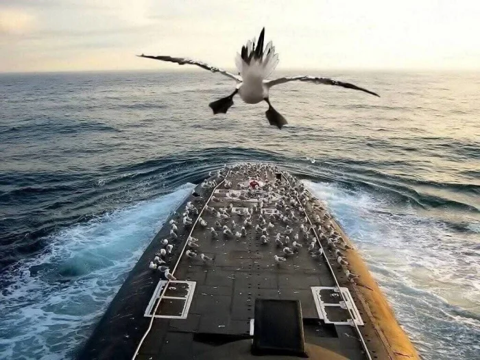 Картинки на общую тему