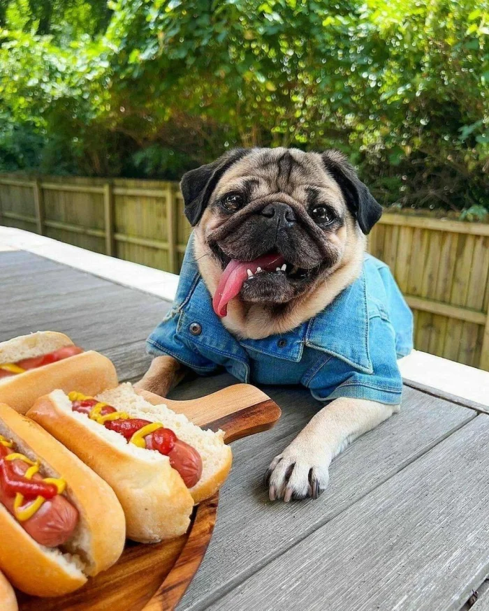 Картинки на общую тему