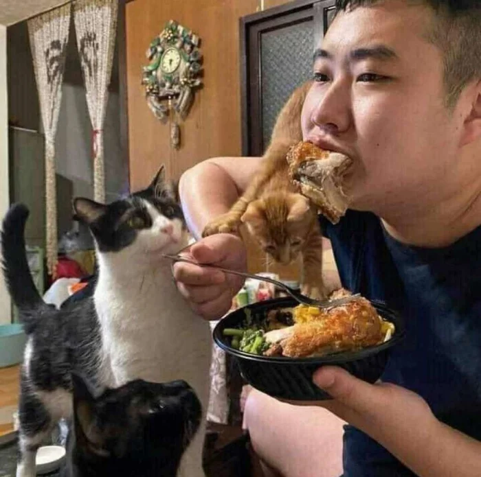 Свежее на общую тему