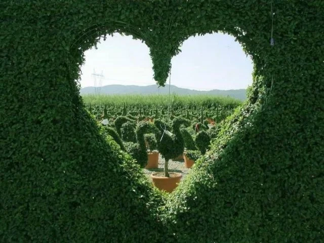 Намешалось: Красивые и интересные картинки