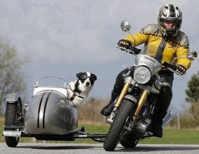 Намешалось: Красивые и интересные картинки