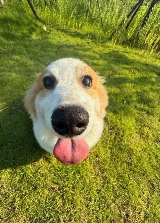 Намешалось: Красивые и интересные картинки