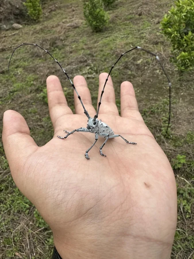 Удивительные, но безобидные насекомые