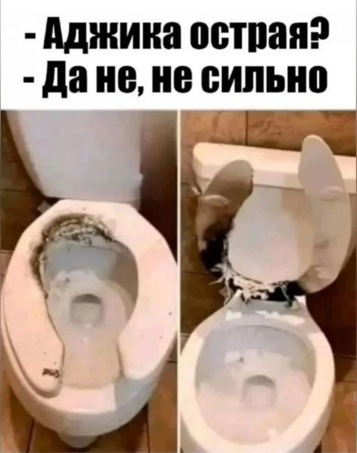 Нестандартный юмор #449