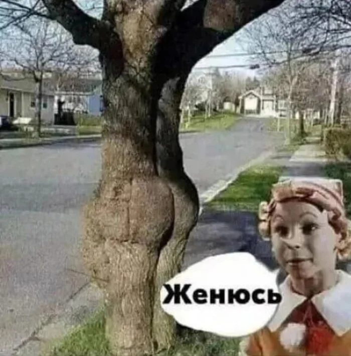 Нестандартный юмор #471