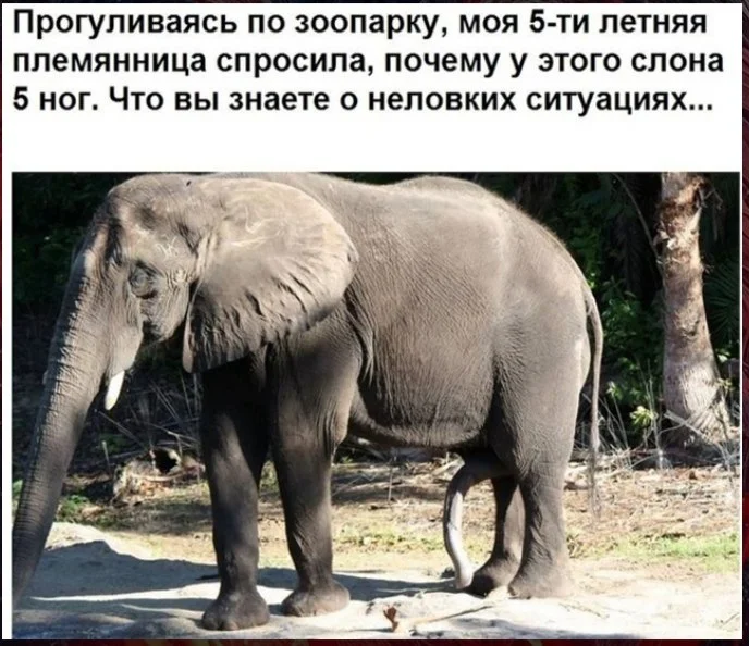 Нестандартный юмор #473