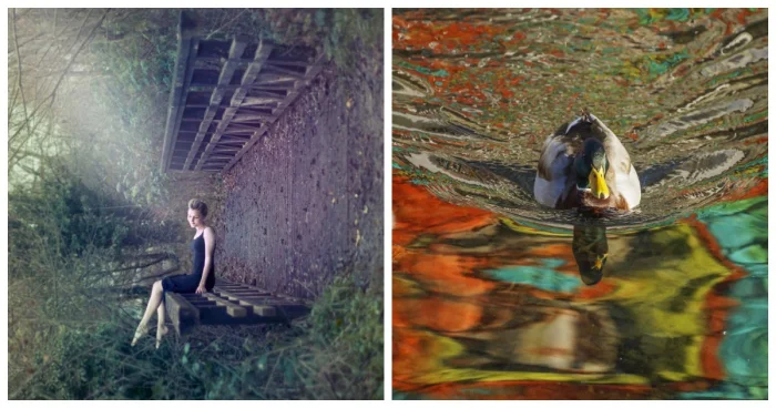 Оптические трюки: 20 снимков, которые запутают вас