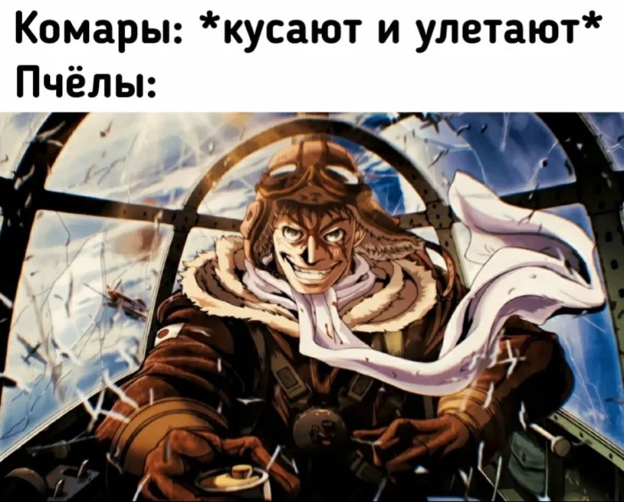 Смешные аниме-мемы в одной подборке