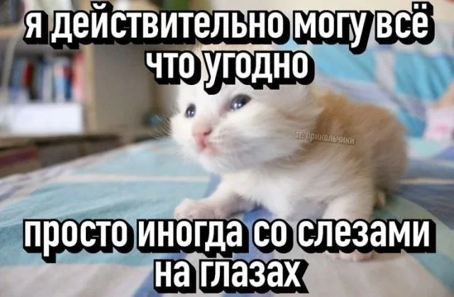 Смешные скрины из соцсетей #98