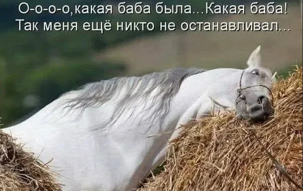 Смешные скрины из соцсетей #101