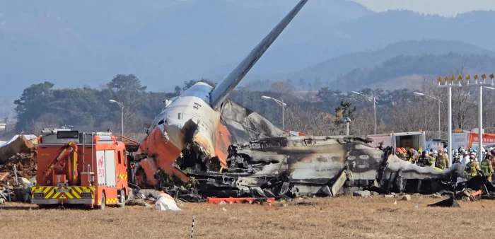 Новые подробности крушения корейского Боинга: птицы и столкновение со стеной