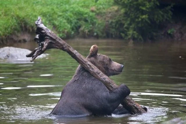 Подъехало всё вразнобой