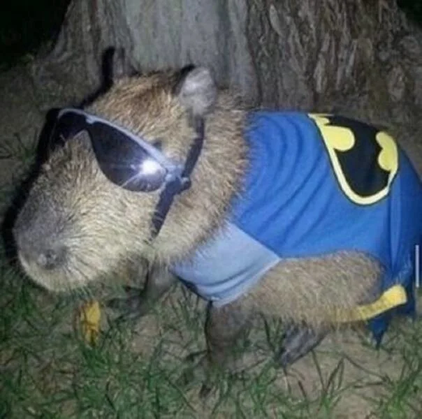 Подъехало всё вразнобой