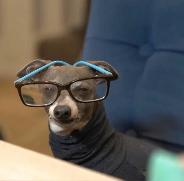 Всё вразнобой