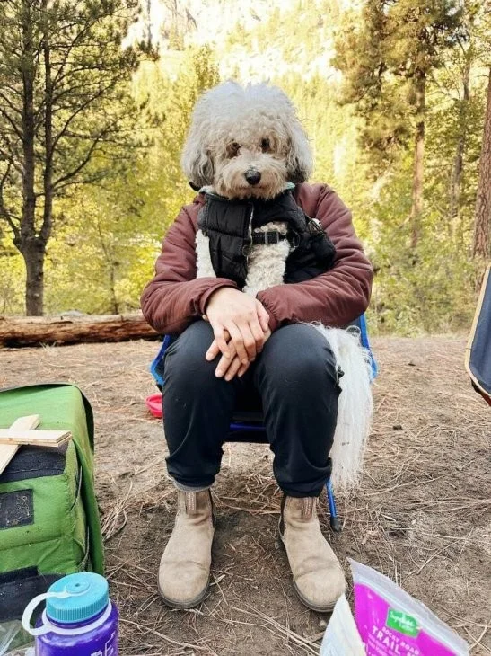 Подъехало всё вразнобой