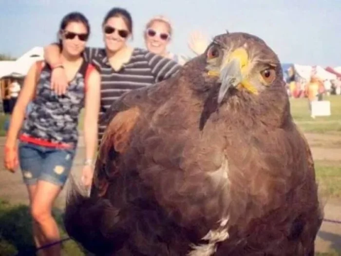 Подъехало всё вразнобой