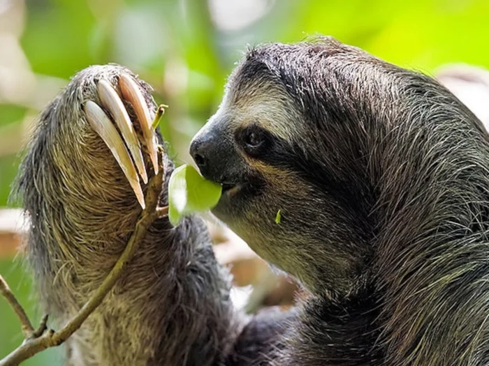 10 удивительных фактов, которые меняют привычное восприятие мира