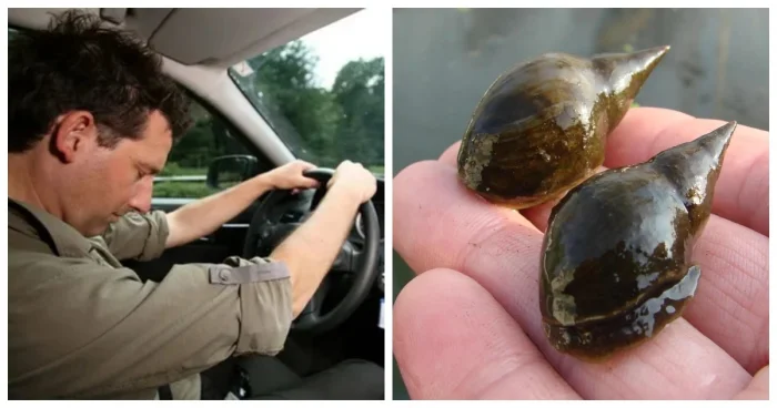 Реальность под другим углом: ТОП-10 удивительных фактов