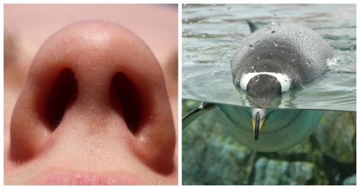 10 удивительных фактов, от которых перехватывает дух