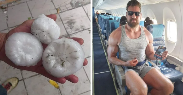 14 гигантов из реального мира: вещи и существа необычных размеров