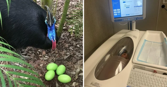 Когда реальность удивляет: 16 примеров странностей из жизни