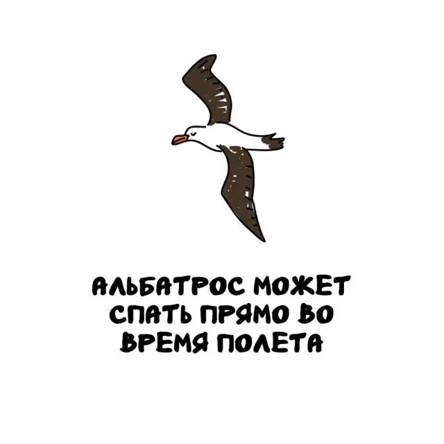 Любопытные факты, которые стоит знать каждому