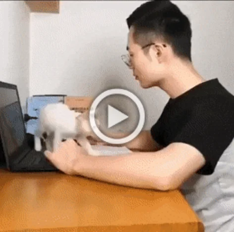 Разнообразные ГИФки #170