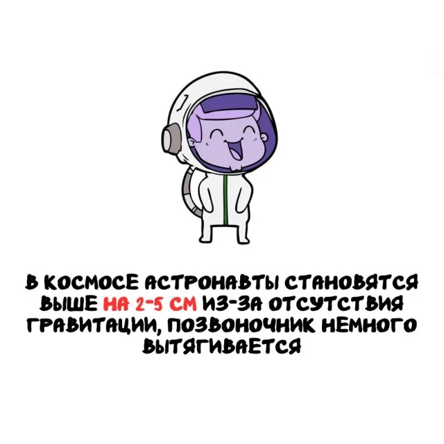 Подборка любопытных фактов, которые пригодятся каждому