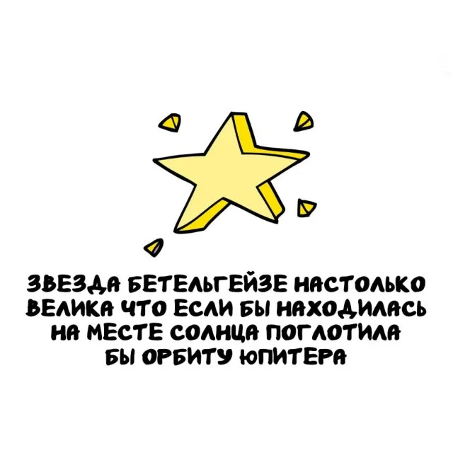 Подборка любопытных фактов, которые пригодятся каждому