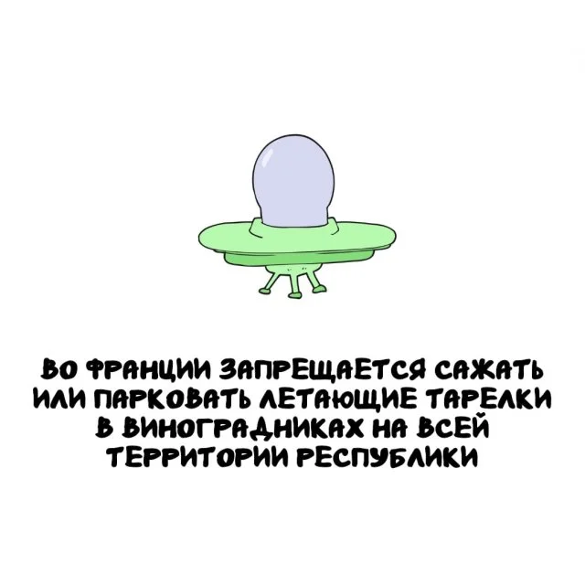 Занимательные факты обо всём на свете