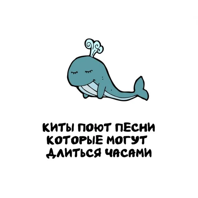 Любопытные факты, которые пригодятся в любой беседе