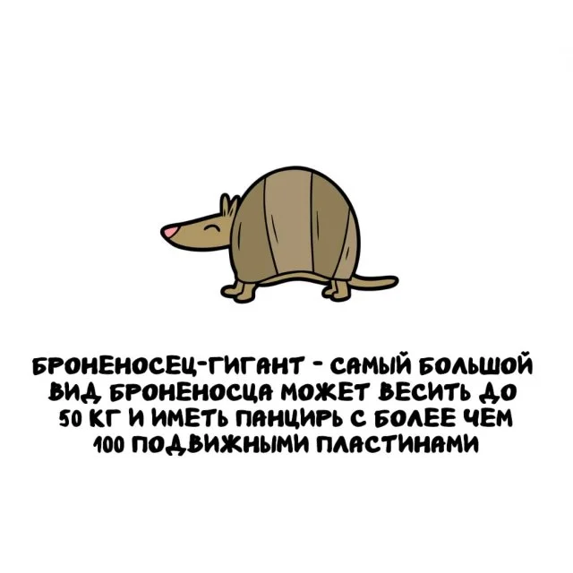 Подборка любопытных фактов обо всём на свете