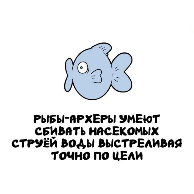 Интересные факты, которые пригодятся в любой компании