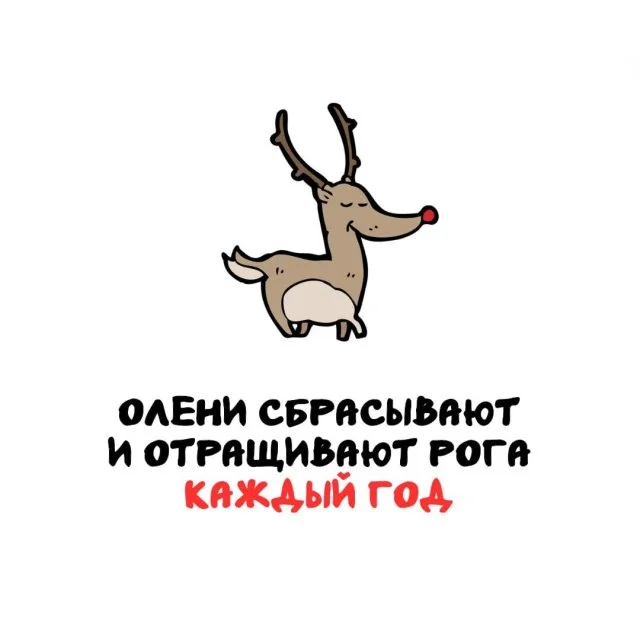 Коллекция знаний: любопытные факты для каждого