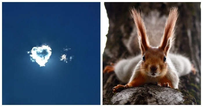 20 снимков, говорящих больше, чем слова