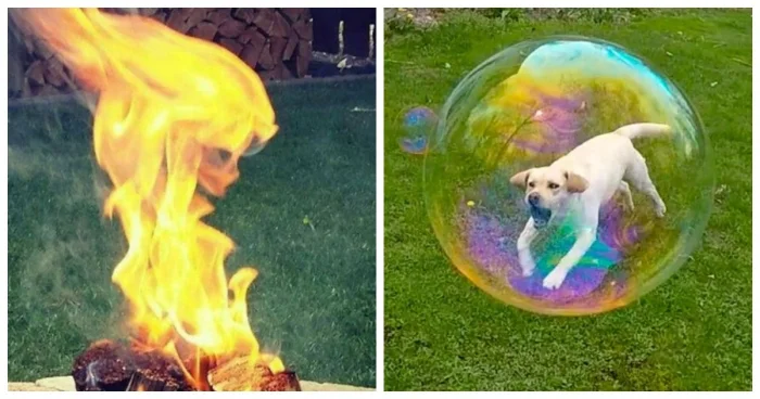 20 фото повседневной магии, от которых невозможно отвести взгляд