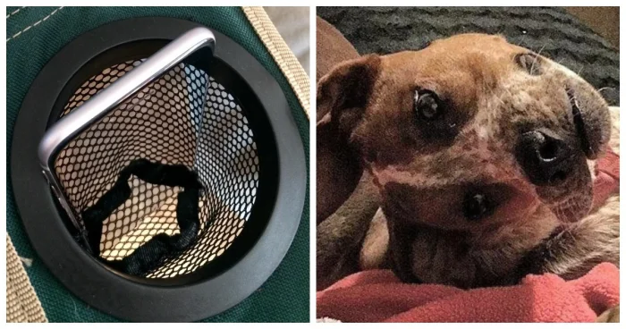 Иллюзии и трюки сознания: 20 случаев обмана мозга