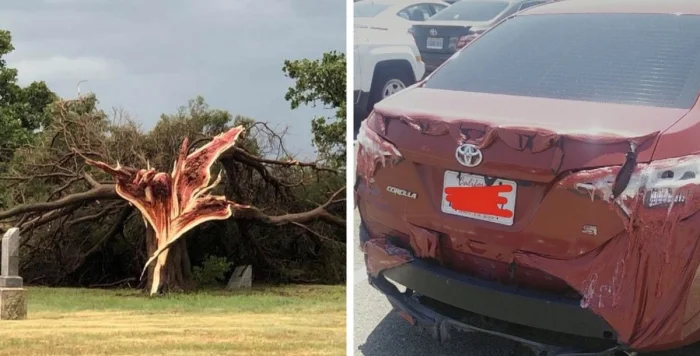 20+ историй выживания в суровом климате: испытания для сильных