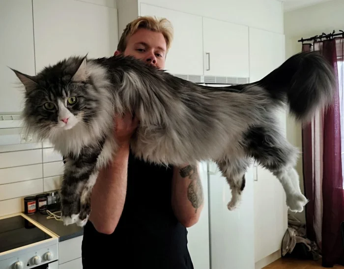 20 животных-гигантов, которые поражают своими размерами