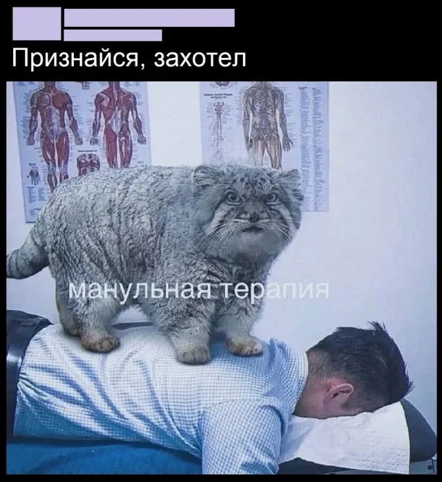 Чо, не смешно?! Смешно!