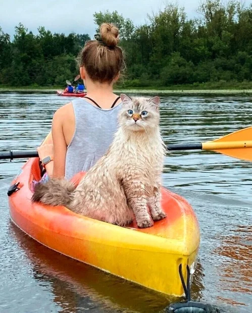 Всякие картинки