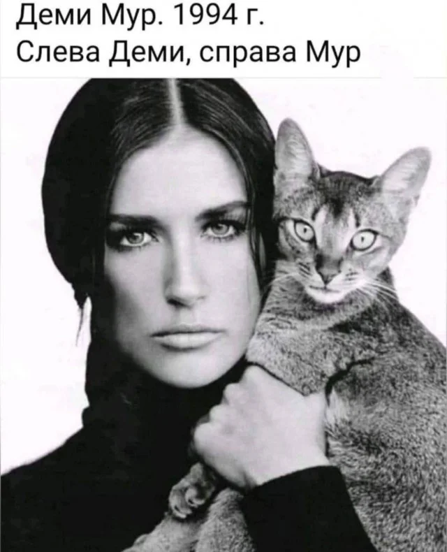 Классные приколы