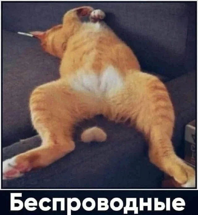 Классные приколы