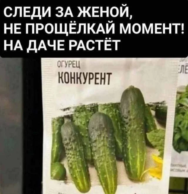 Юмор для реально взрослых