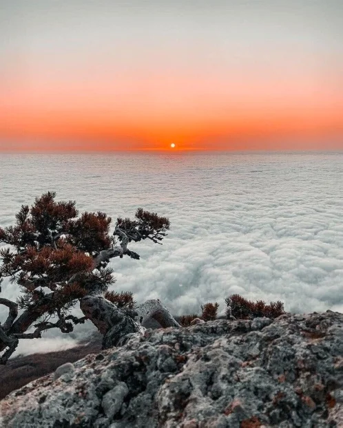 Разные картинки