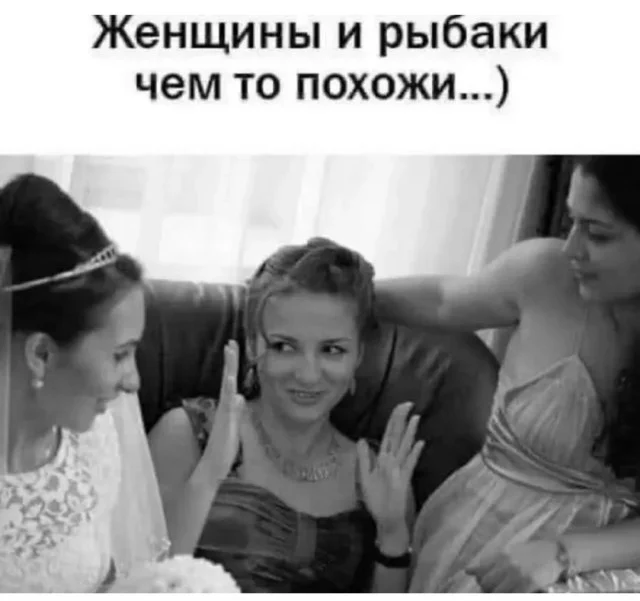 Свежо и хорошо: Приколы