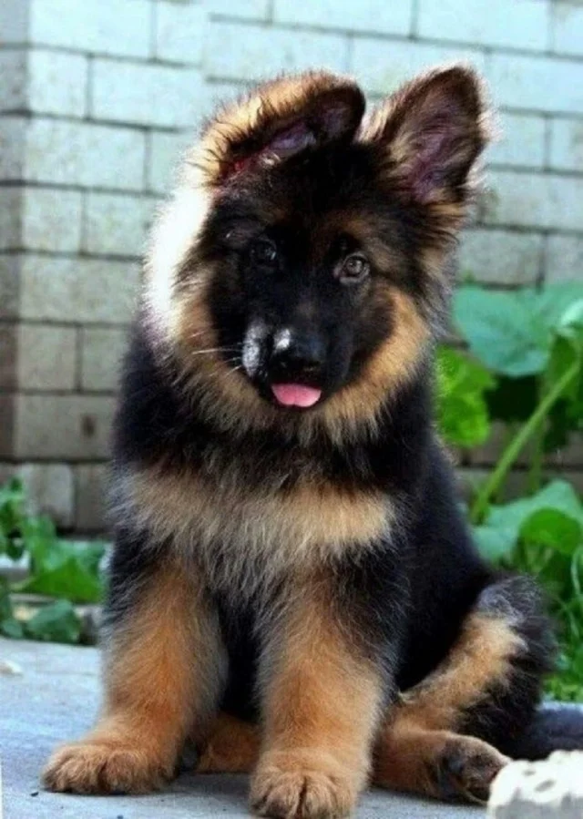 А вот и свежие мемы